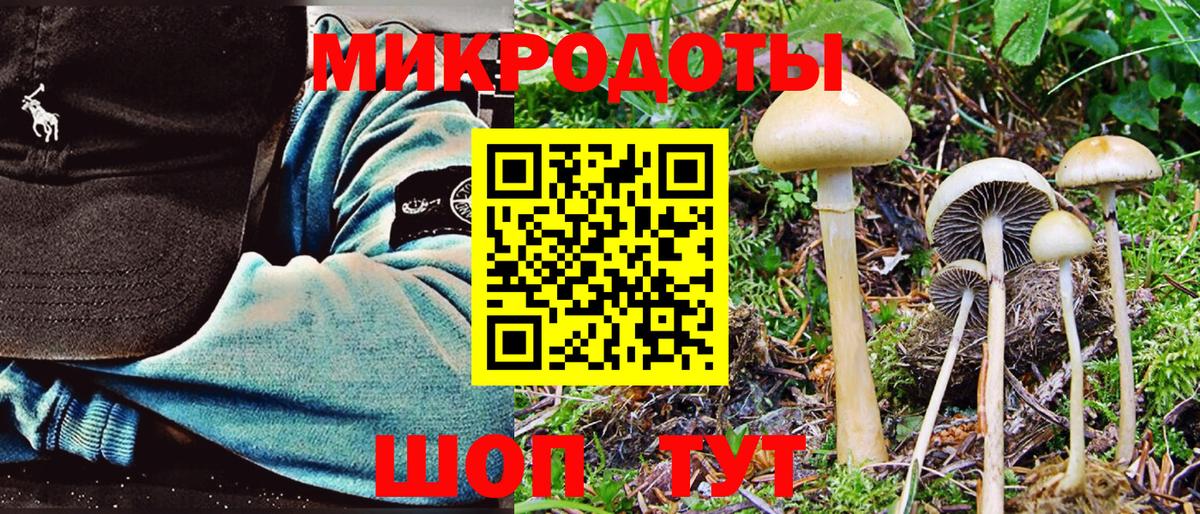 Петрозаводск  Галлюциногенные грибы мицелий  купить закладку  Вход с VPN 