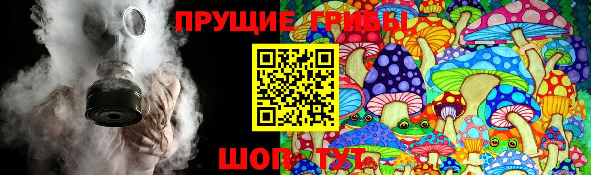 Псилоцибиновые грибы прущие грибы Петрозаводск